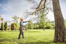 Best Tree Trimming and Pruning  in Uvalde Estates, TX